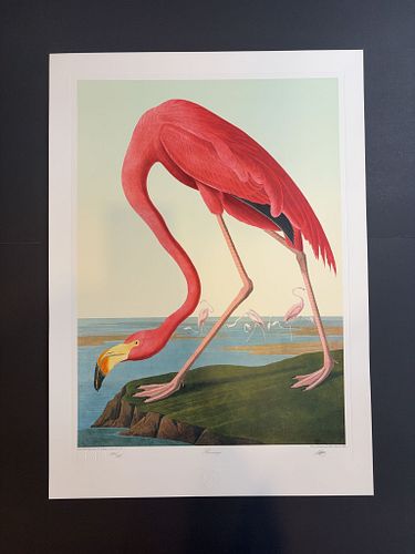 Lot #4 (1 of 12)