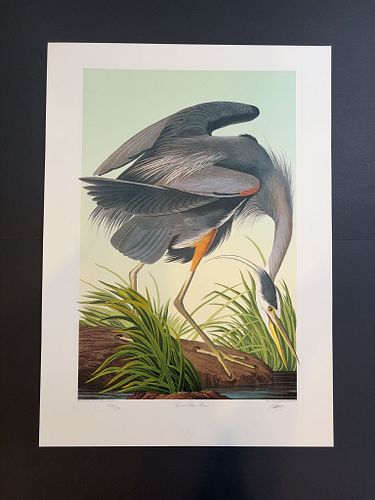 Lot #8 (1 of 13)