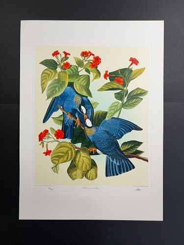 Lot #15 (1 of 14)