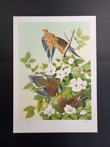 Lot #23 (1 of 11)