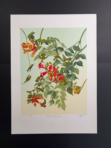 Lot #30 (1 of 18)
