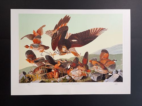 Lot #36 (1 of 16)
