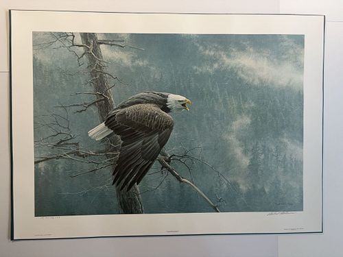 Lot #50 (1 of 15)