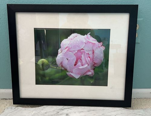 Lot #23 (1 of 5)