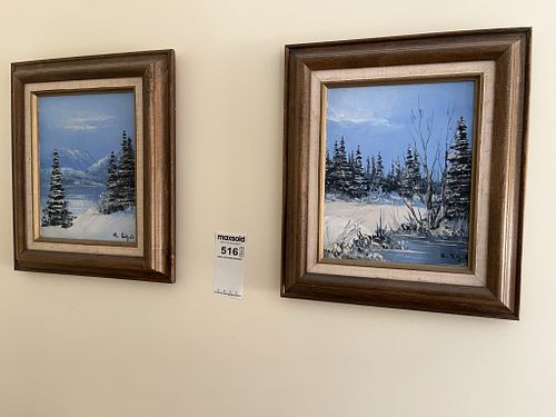 Lot #516 (1 of 13)