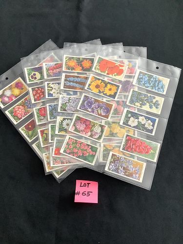 Lot #65 (1 of 11)