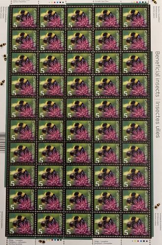 Lot #184 (1 of 9)