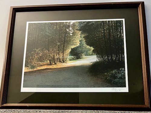 Lot #48 (1 of 3)