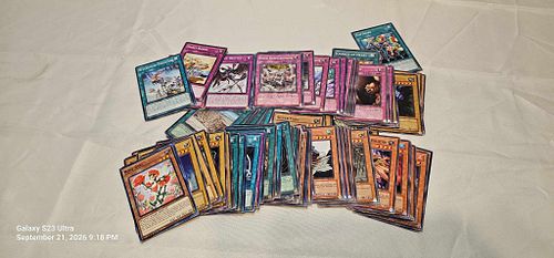 Lot #17 (1 of 6)
