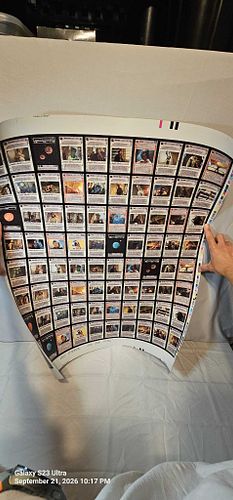 Lot #22 (1 of 7)