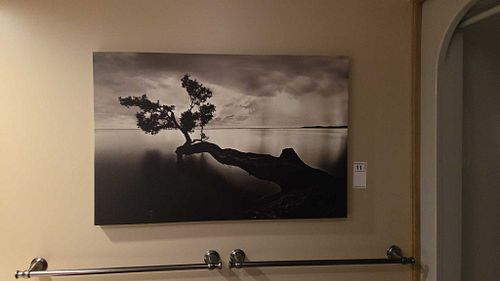 Lot #11 (1 of 7)