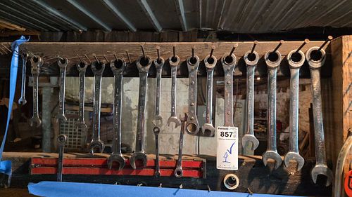 Lot #857 (1 of 16)