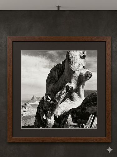 Lot #27 (1 of 8)