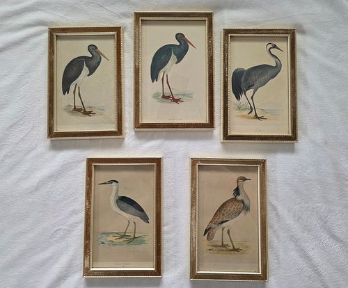 Lot #21 (1 of 20)