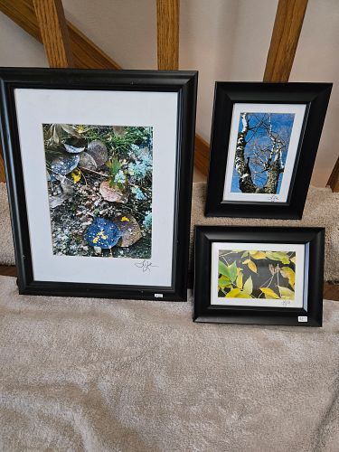 Lot #5 (1 of 5)