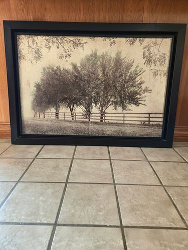 Lot #10 (1 of 3)