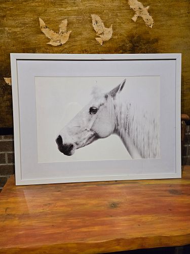 Lot #39 (1 of 3)