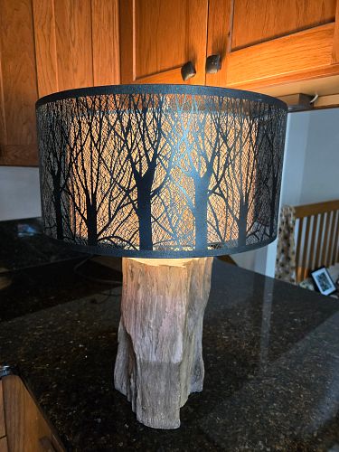 Lot #60 (1 of 4)