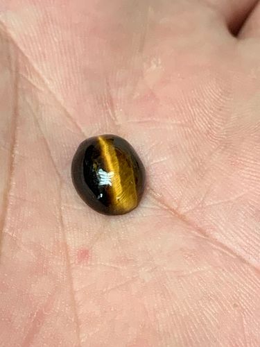Lot #18 (1 of 4)