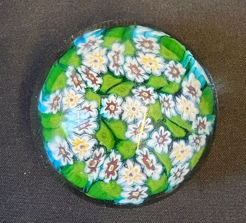 Lot #31 (1 of 11)