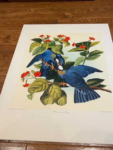 Lot #29 (1 of 5)