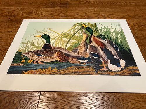Lot #30 (1 of 5)