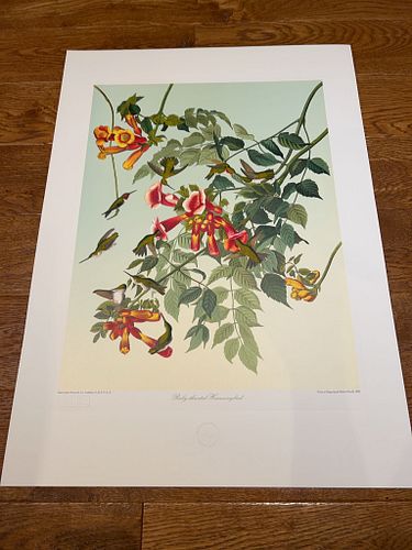 Lot #31 (1 of 5)
