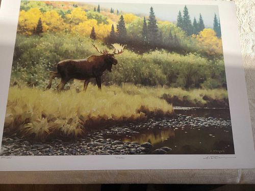 Lot #46 (1 of 8)