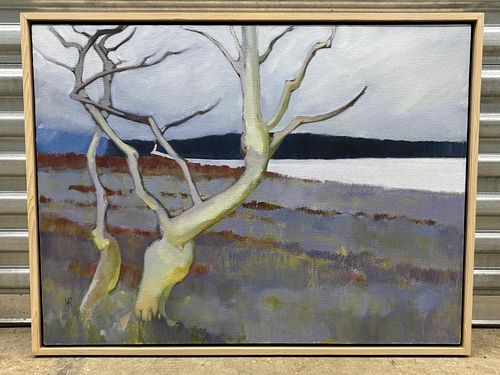 Lot #19 (1 of 7)