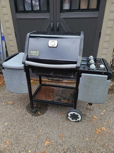 Lot #43 (1 of 11)
