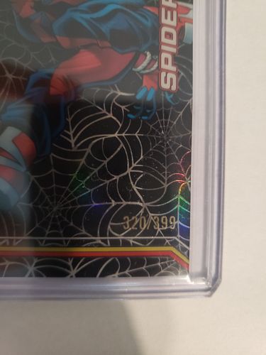 Lot #37 (1 of 3)