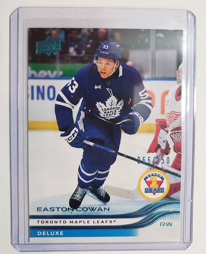 Lot #51 (1 of 3)