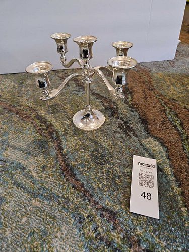 Lot #48 (1 of 8)