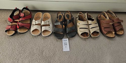 Lot #7 (1 of 12)