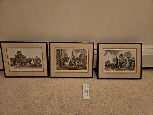 Lot #78 (1 of 12)