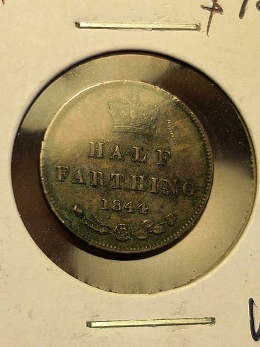 Lot #141 (1 of 5)