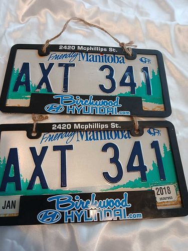 Lot #47 (1 of 4)