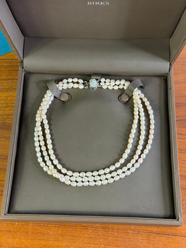 Lot #43 (1 of 5)