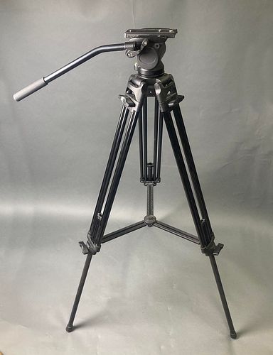 Lot #40 (1 of 6)