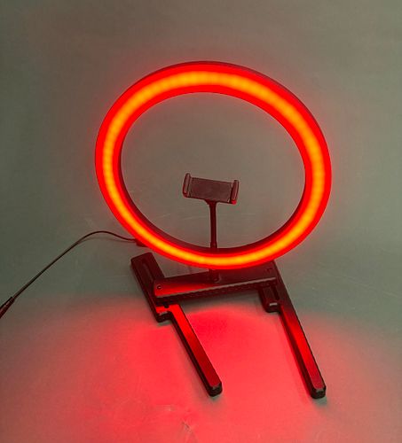Lot #89 (1 of 6)