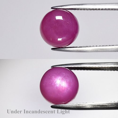 Lot #11 (1 of 3)
