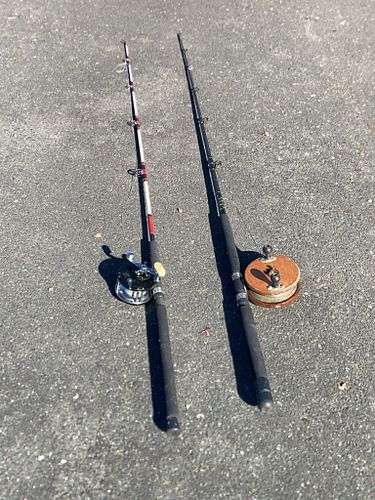 Lot #50 (1 of 6)