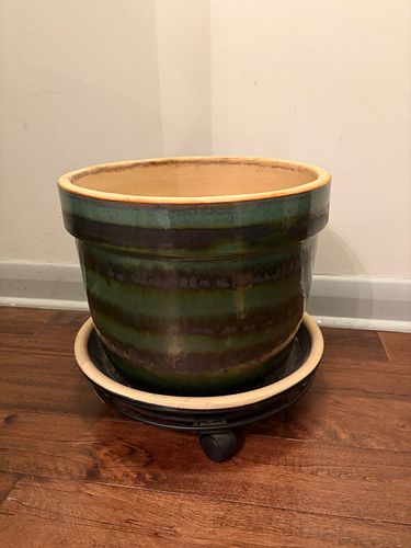 Lot #50 (1 of 1)