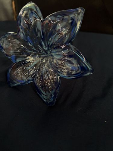 Lot #27 (1 of 12)