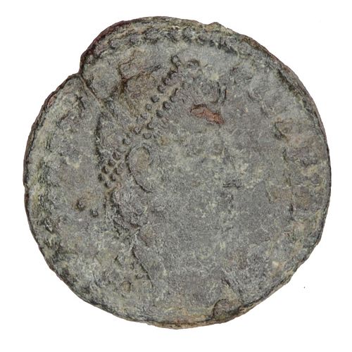 Lot #143 (1 of 2)