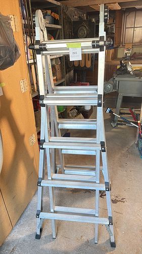 Lot #265 (1 of 11)
