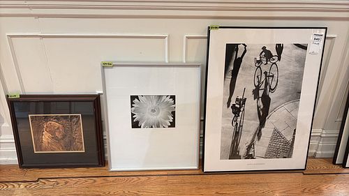 Lot #840 (1 of 14)