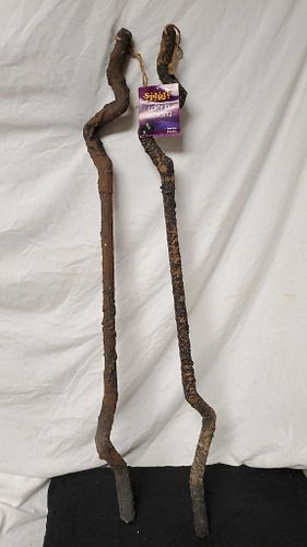 Lot #40 (1 of 8)
