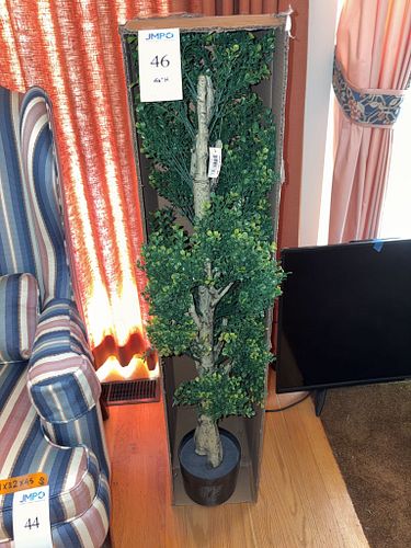 Lot #46 (1 of 5)