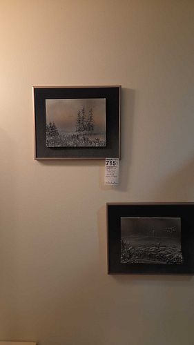 Lot #715 (1 of 13)